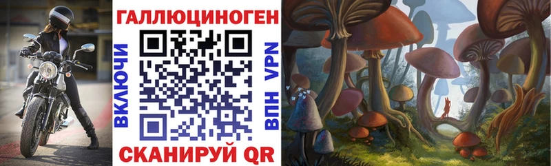 Галлюциногенные грибы мицелий  Малая Вишера 